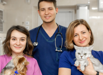 Honoring International Day of Veterinary Medicine